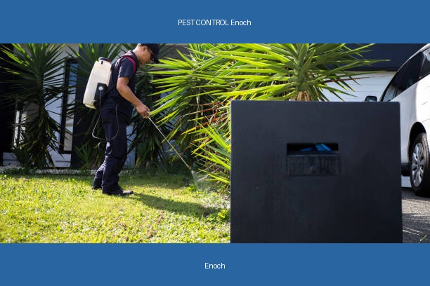 PEST CONTROL Enoch